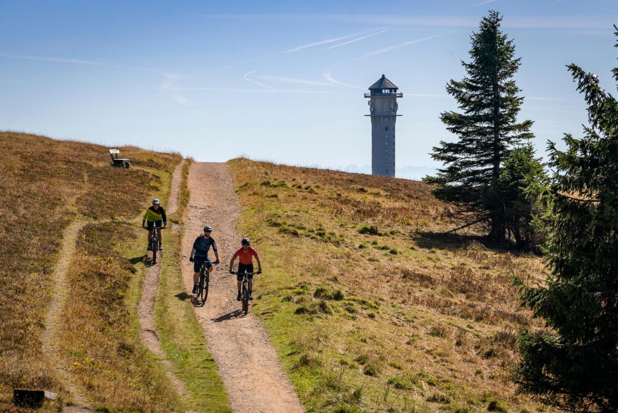 Number 8 Feldberg (Baden-Wurttemberg)