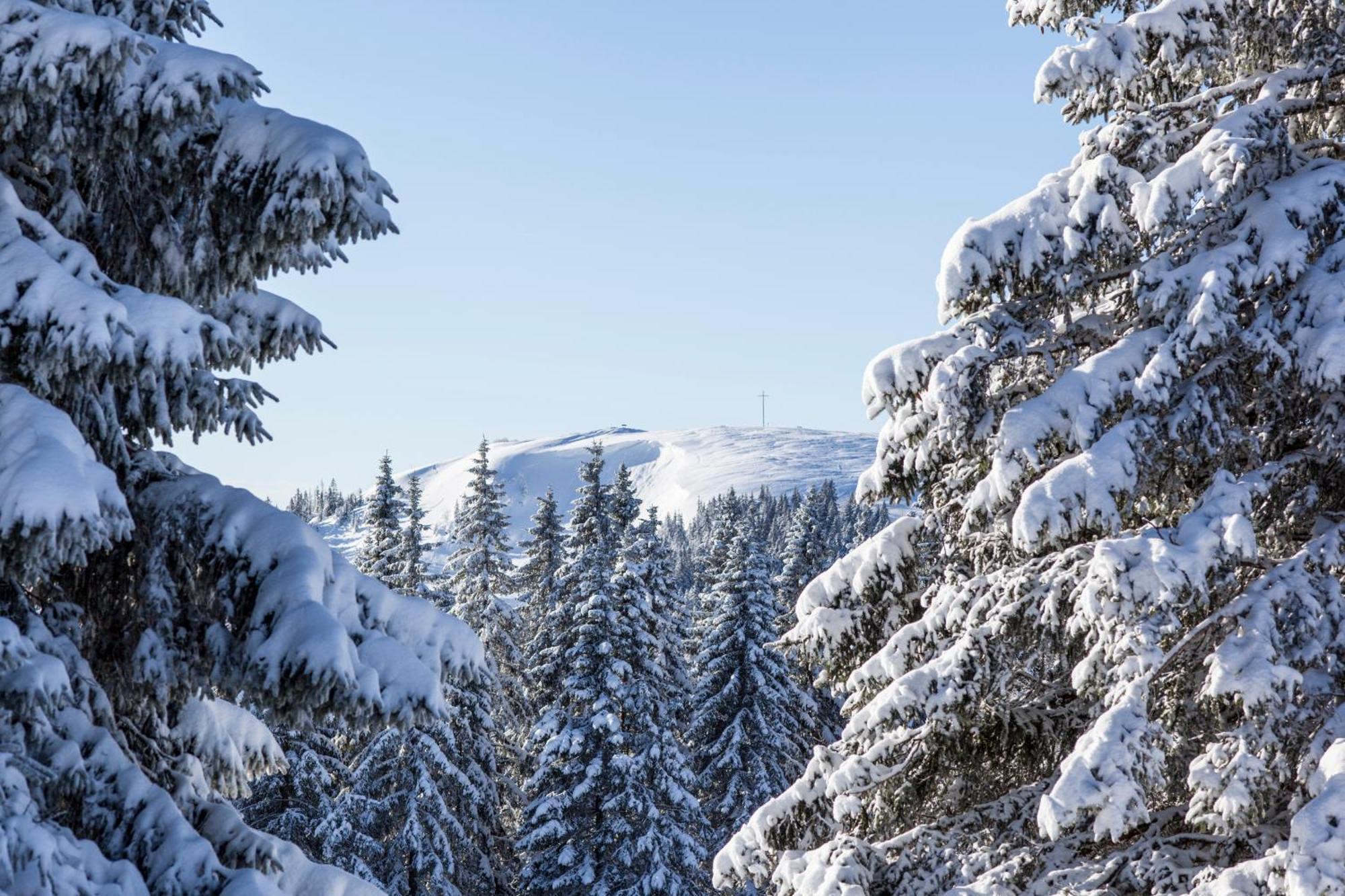 Number 8 Feldberg (Baden-Wurttemberg)